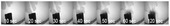 0549500_2009_mcgill_figure_1